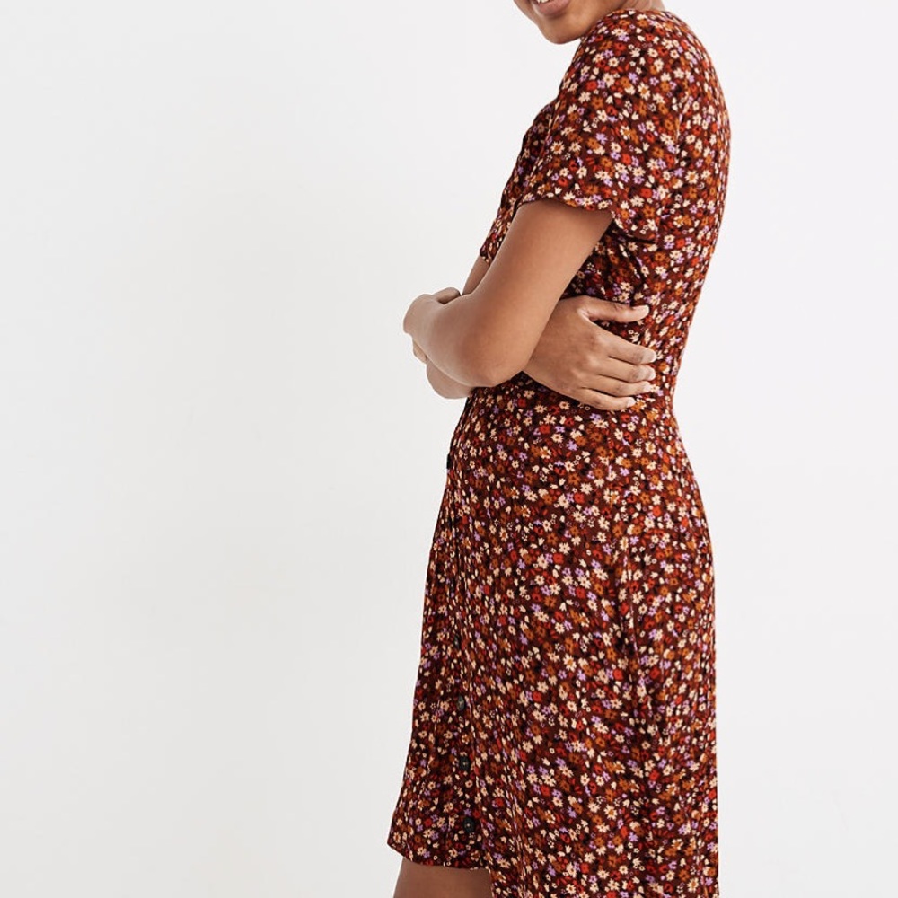 Madewell V-neck Button-Front Dress: Spring Prairie - Picture 3 of 5